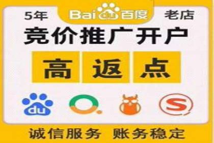 百度竞价SEM策略解析：某品牌广告成功的关键因素